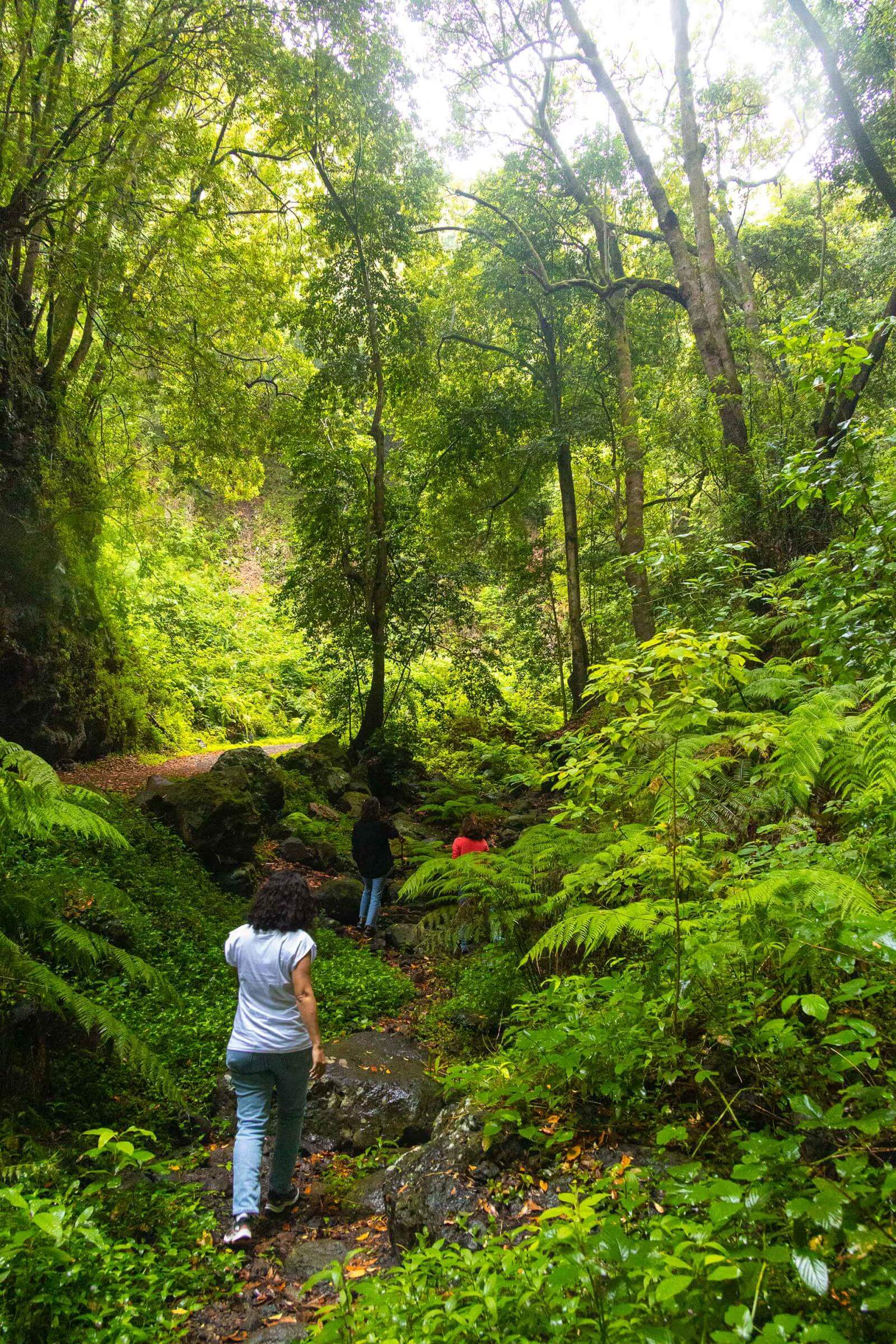 Cubo de Galga, La Palma