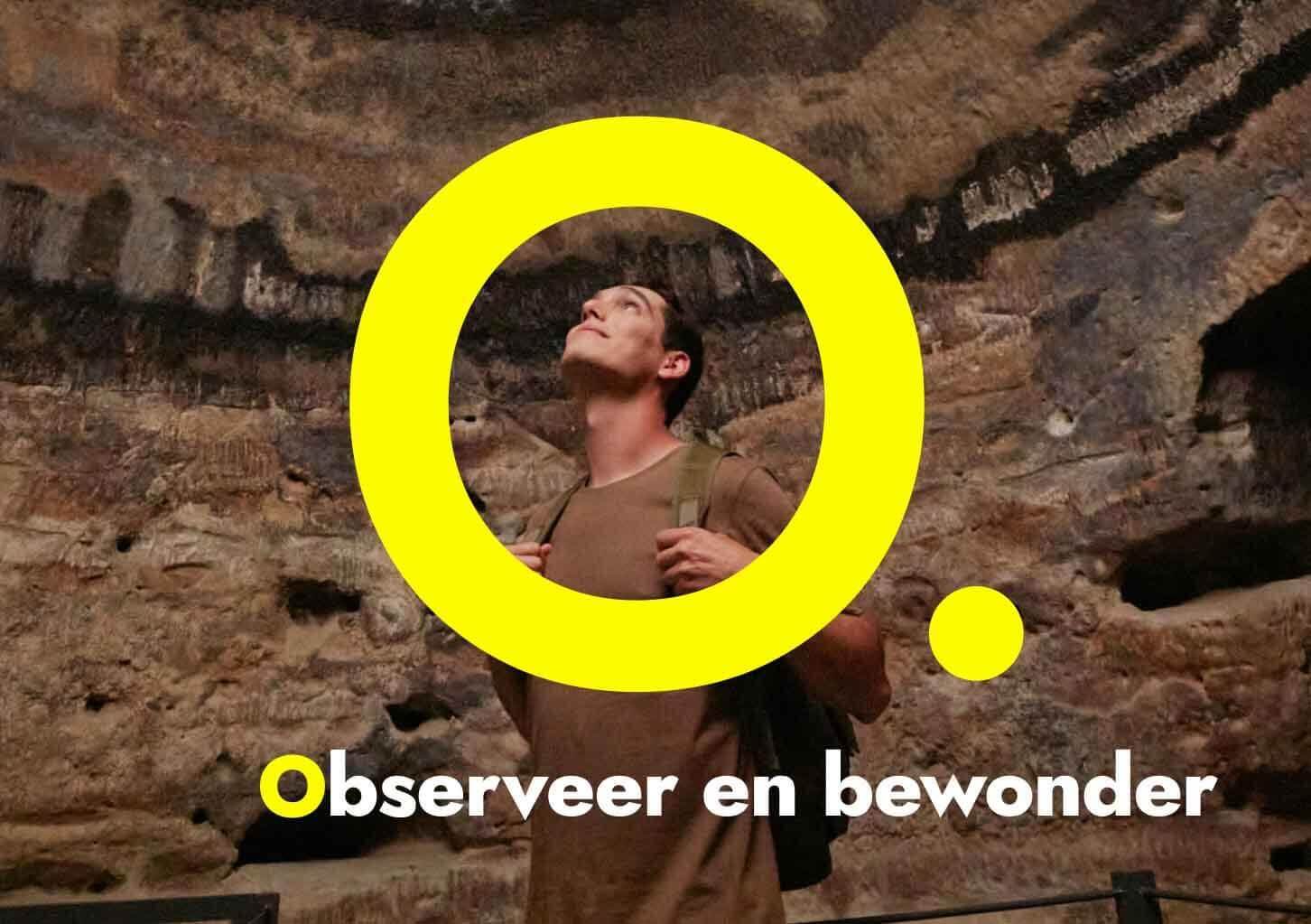 Observeer en bewonder