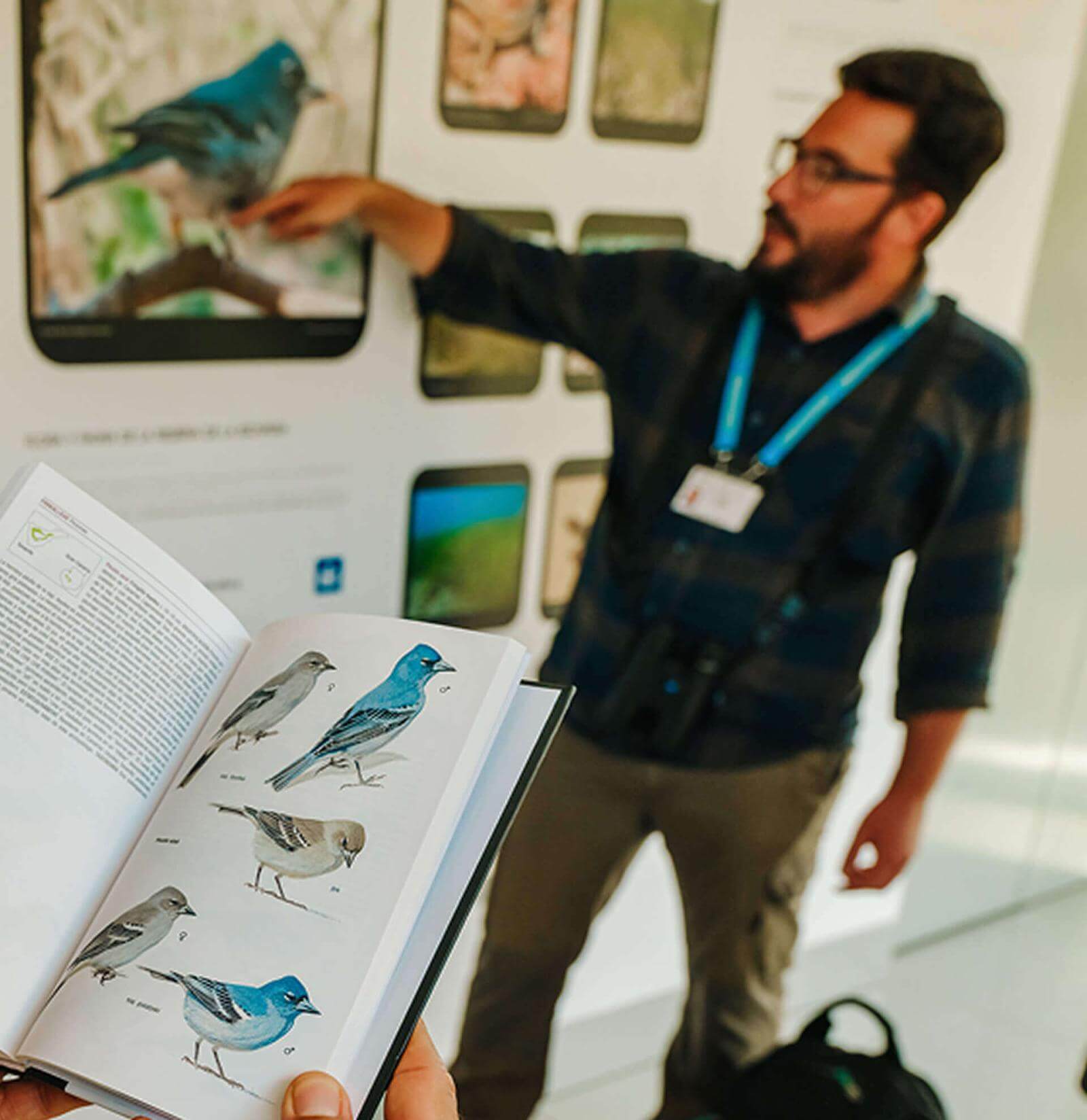 Gids wijst naar de afbeelding van een blauwe vink op een bord bij het uitkijkpunt terwijl hij uitleg geeft.