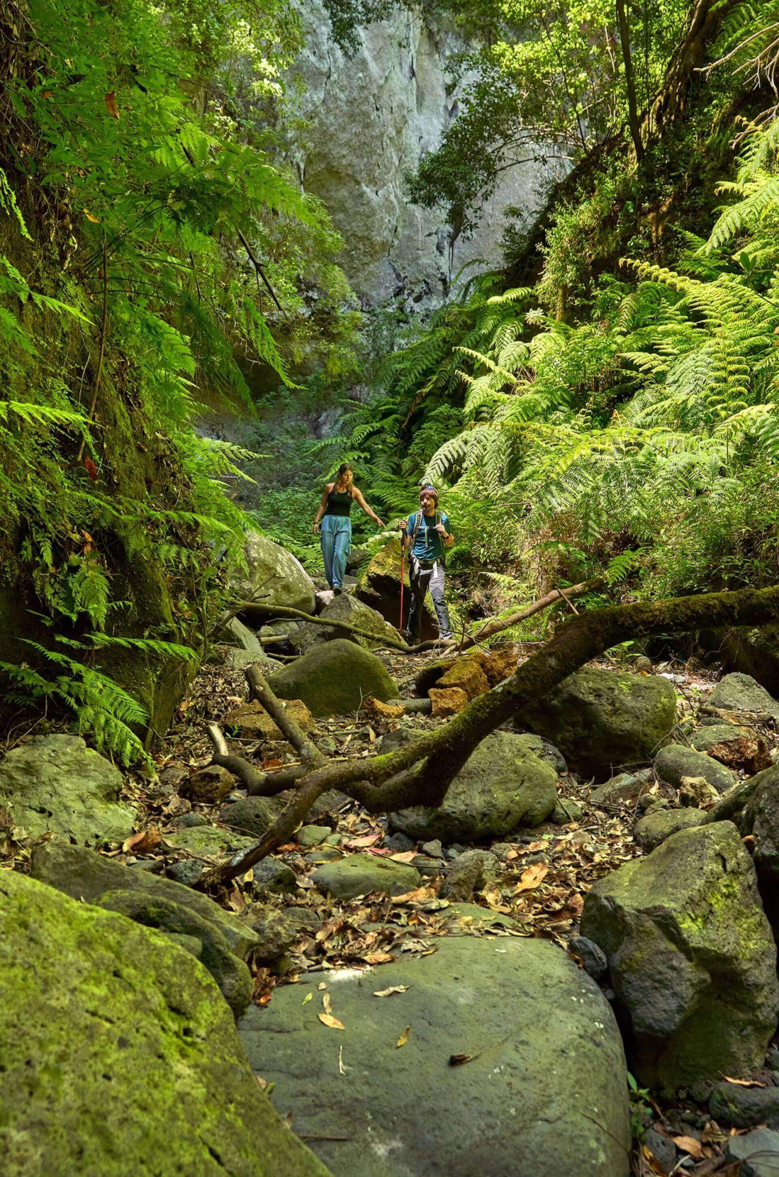 Twee mensen lopen tussen rotsen en varens in het Woud van Los Tilos, omringd door laurierbossen.