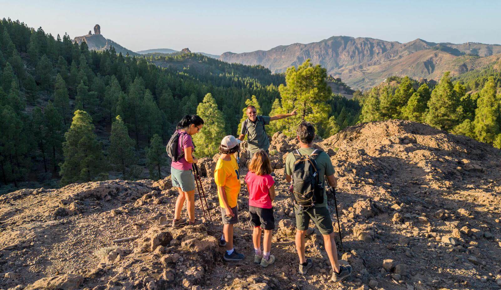 Excursie door het Landelijk Park van Roque Nublo, tussen rotsachtige grond, Canarisch dennenbos en de top.