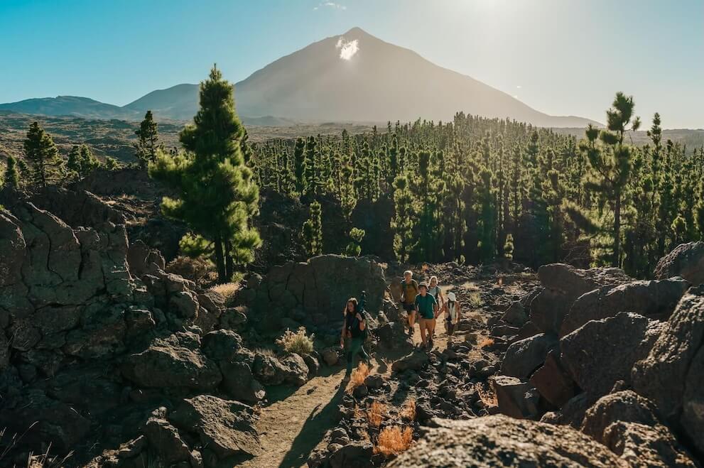 Groepswandeling tussen vulkanische rotsen en Canarische dennen met de Teide op de achtergrond op Tenerife.