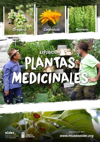 cartel-plantas-medicinales-4