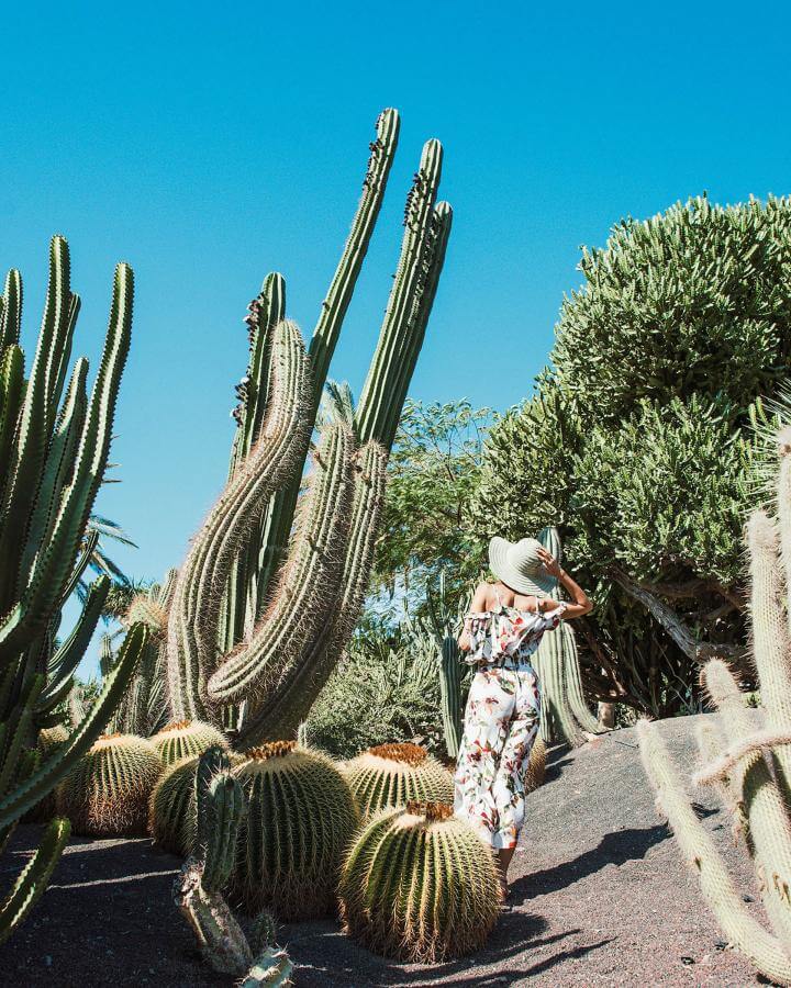 Fuerteventura. La Lajita