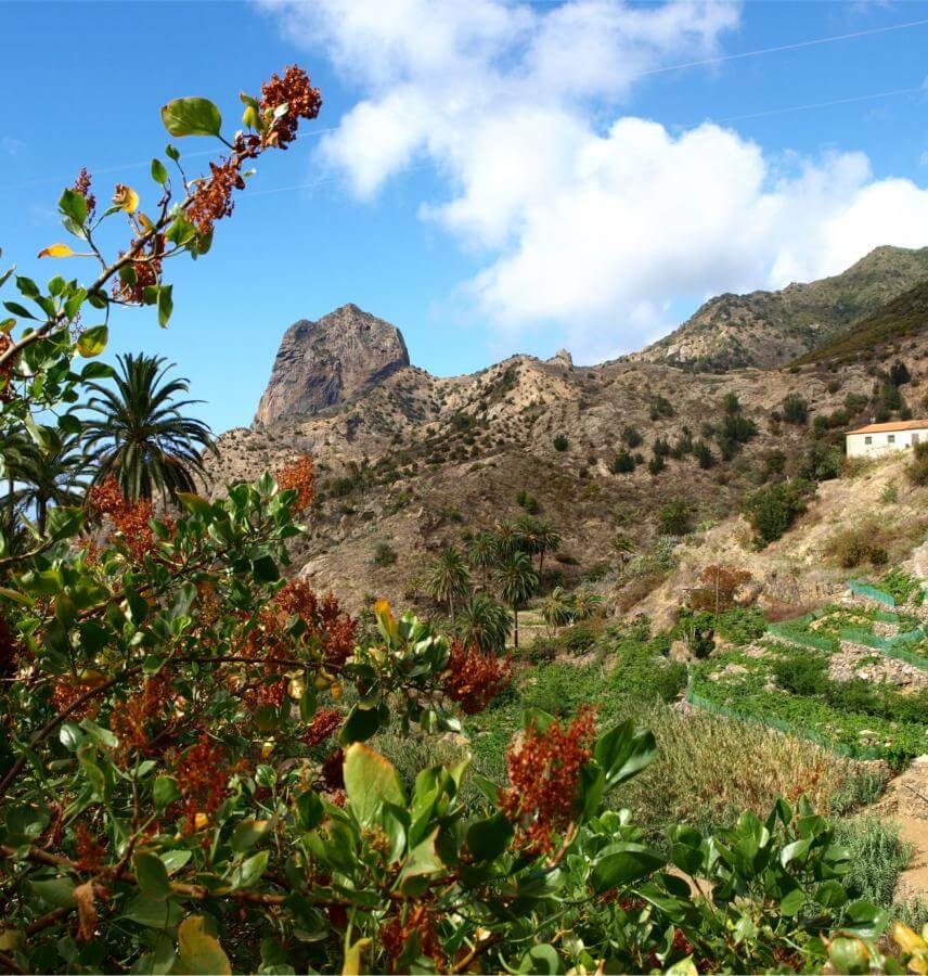 Vallehermoso-La-Gomera