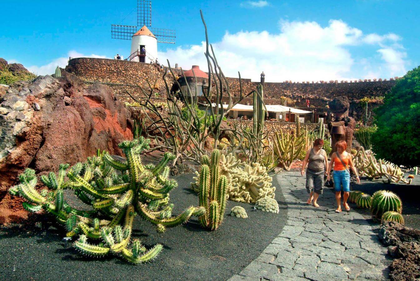 Visita a los Jameos del Agua y Jardín de Cactus - galeria2
