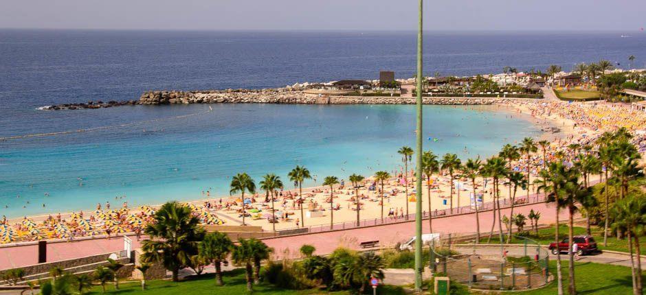 Playa de Amadores Populaire stranden in Gran Canaria