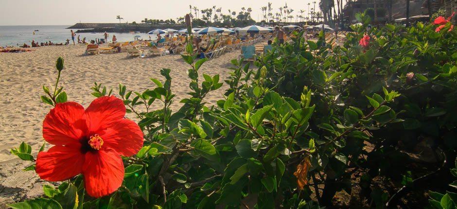 Anfi del Mar Stranden voor kinderen in Gran Canaria