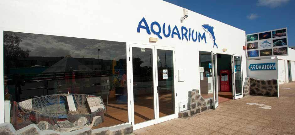 Aquarium Aquariums in Lanzarote