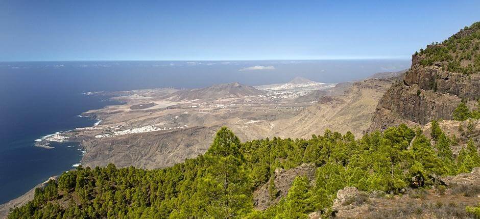Tamadaba-Bajada de Faneque + wandelroutes op Gran Canaria