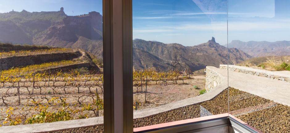 Bodega Bentayga op Gran Canaria