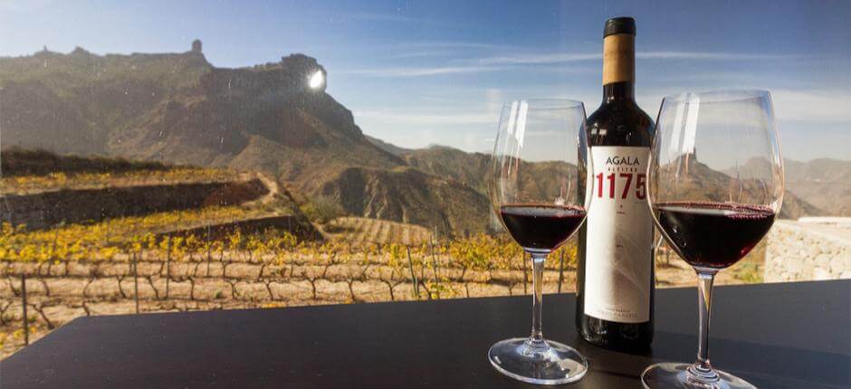 Bodega Bentayga op Gran Canaria