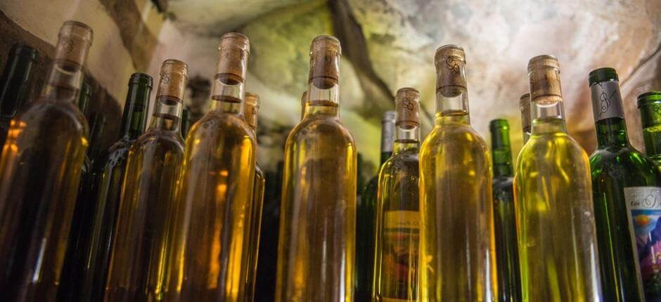 Bodega Los Berrazales + Bodegas van Gran Canaria