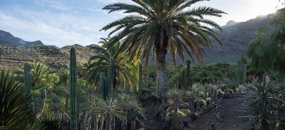 Cactualdea Park Musea en toeristische centra in Gran Canaria