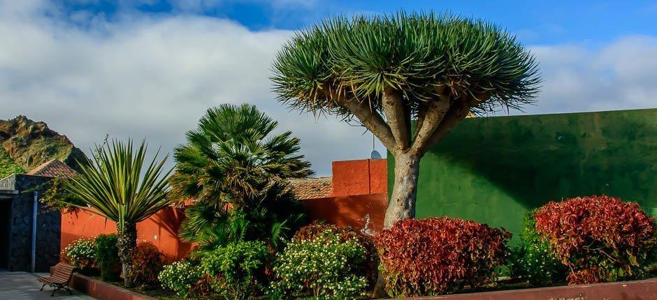 El Palmar boerderijen van Tenerife