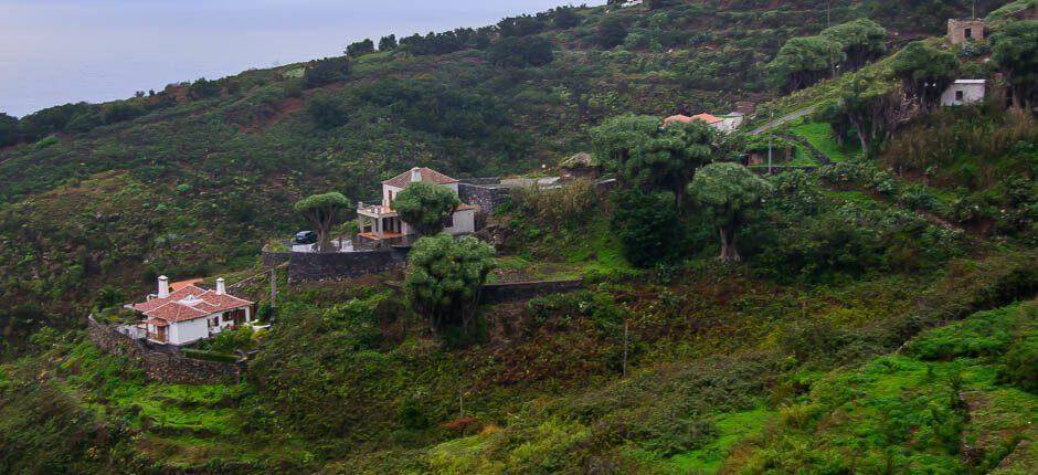 La Tosca Boerderijen La Palma