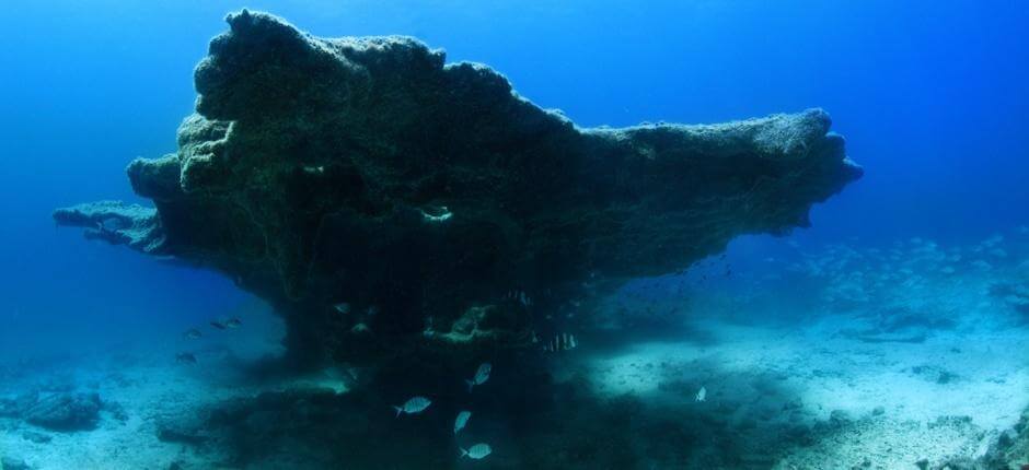 Duiken in Bajón del Río, op Fuerteventura