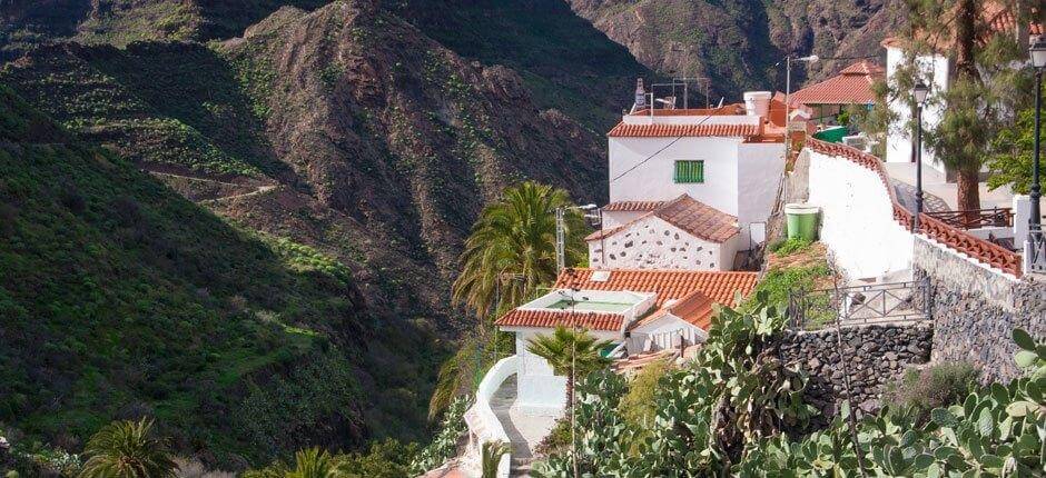 El Carrizal van Tejeda dorpen van Gran Canaria