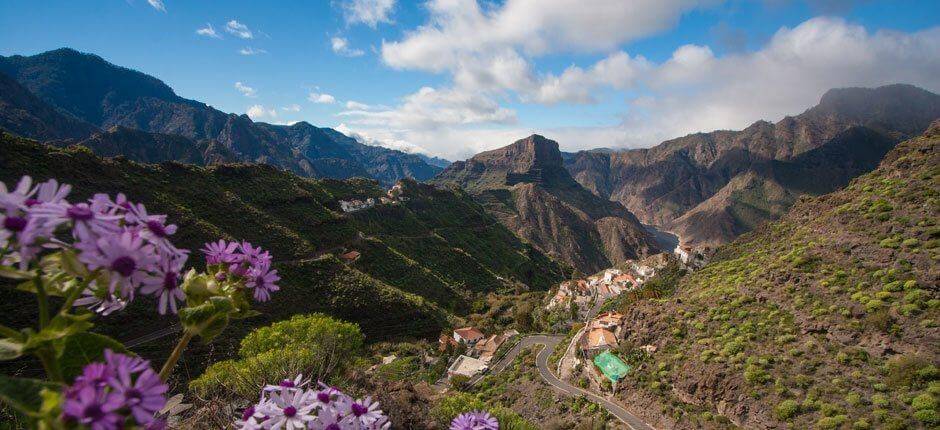 El Carrizal van Tejeda dorpen van Gran Canaria