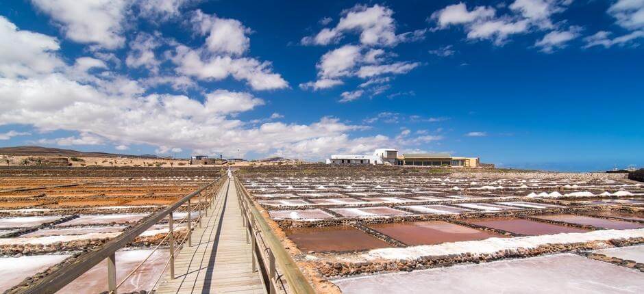 Museo de la Sal Musea in Fuerteventura