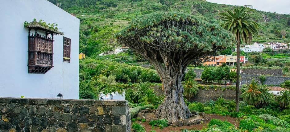 Historische centra Icod de los Vinos Historische centra van Tenerife