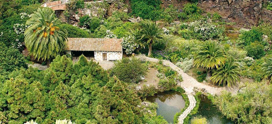 Jardín Botánico Viera y Clavijo Musea en toeristische centra van Gran Canaria
