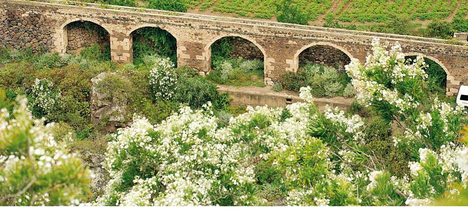 Jardín Botánico Viera y Clavijo Musea en toeristische centra van Gran Canaria