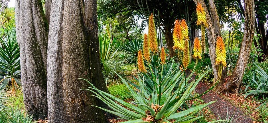 Jardín de Aclimatación de La Orotava Musea en toeristische centra van Tenerife