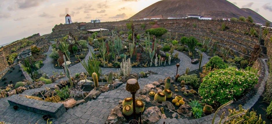 Jardín de Cactus Musea en toeristische centra van Lanzarote