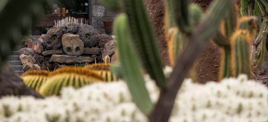 Jardín de Cactus Musea en toeristische centra van Lanzarote