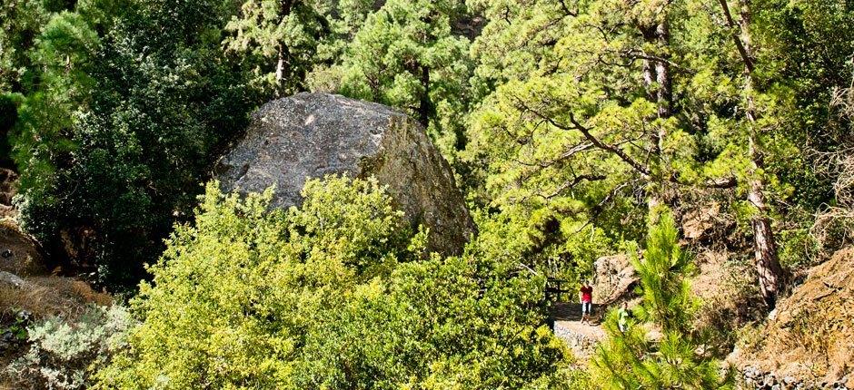 Caldera de Taburiente + wandelroutes op La Palma