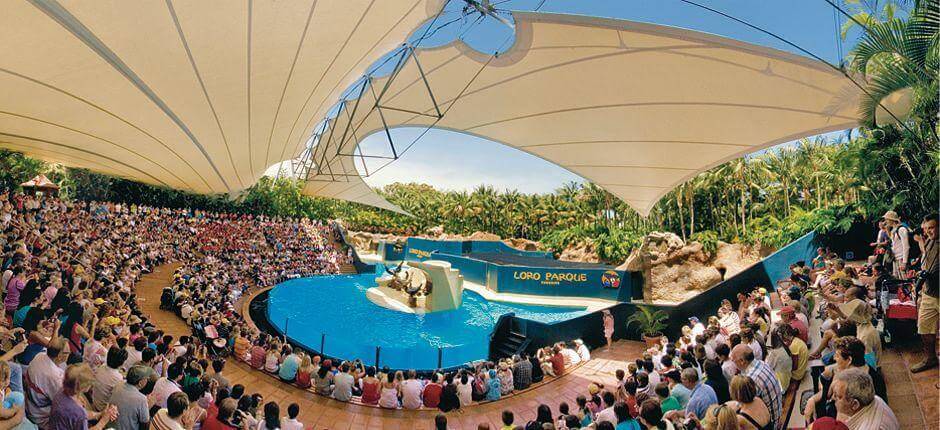 Loro Parque Zoo’s in Tenerife