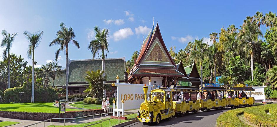 Loro Parque Zoo’s in Tenerife