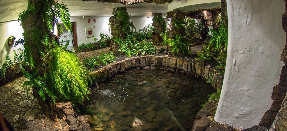 Jameos del Agua  Musea en toeristische centra van Lanzarote