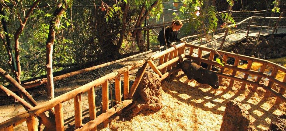 Maroparque Zoo’s in La Palma