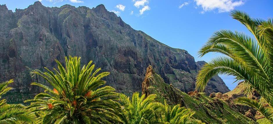 Masca. Observación de estrellas en Tenerife