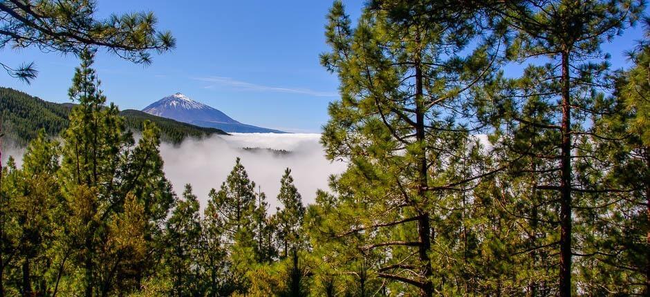 Mirador de Ortuño en Tenerife