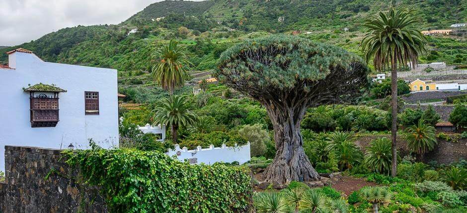 Parque del Drago Milernario Musea en toeristische centra van Tenerife