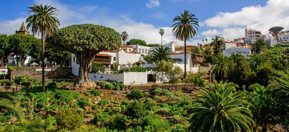 Parque del Drago Milernario Musea en toeristische centra van Tenerife