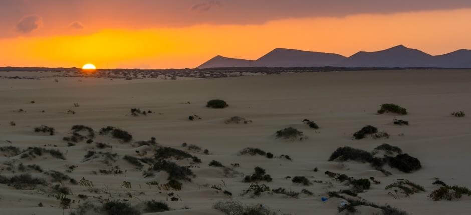 Parque Natural de Corralejo, en Fuerteventura