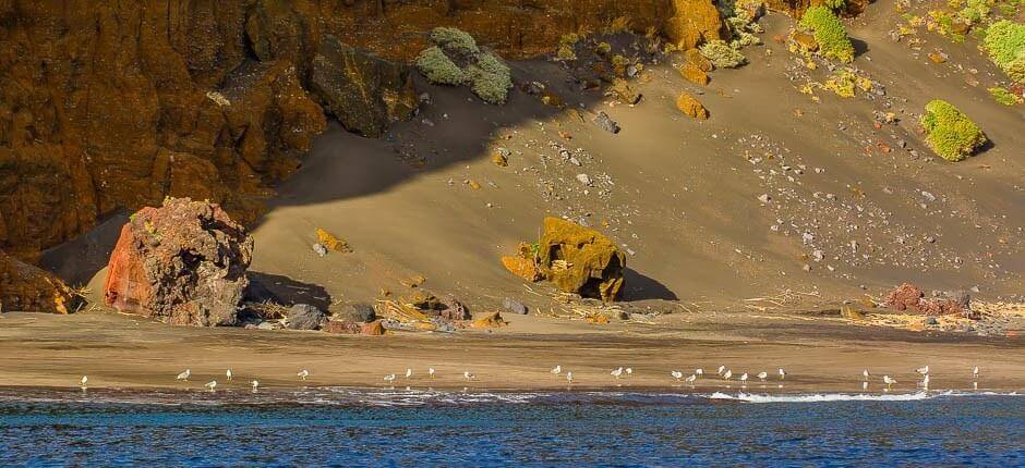 Playa de Antequera + ongerepte stranden
