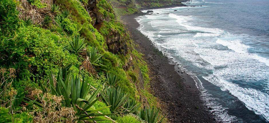 Playa de Los Patos + Ongerepte stranden van Tenerife