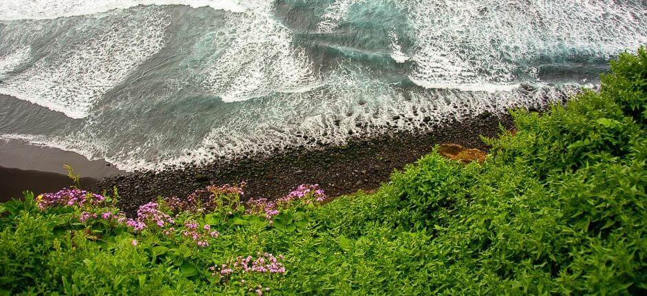 Playa de Los Patos + Ongerepte stranden van Tenerife