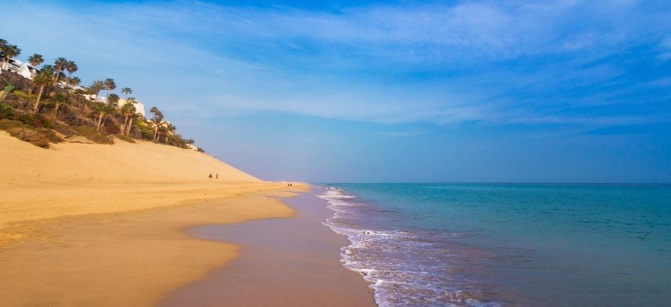 Playas de Morro Jable Populaire stranden in Fuerteventura