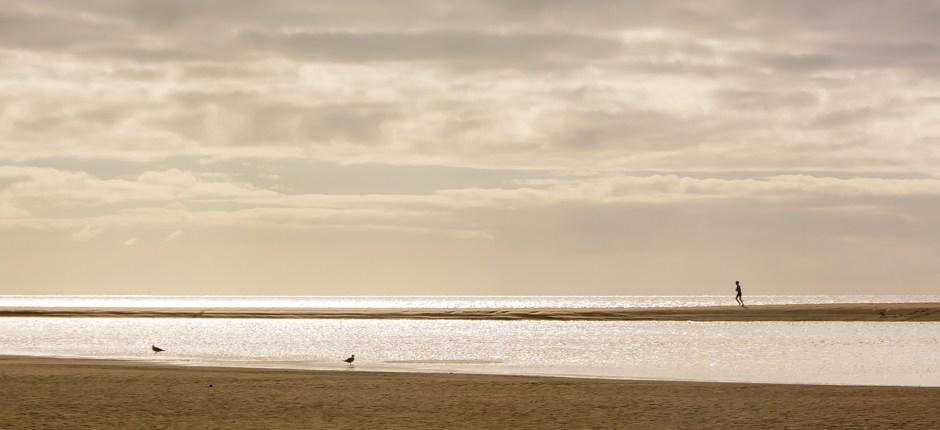 Playa de Sotavento + Ongerepte stranden van Fuerteventura