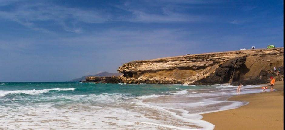 Playa de Viejo Rey + Ongerepte stranden van Fuerteventura 
