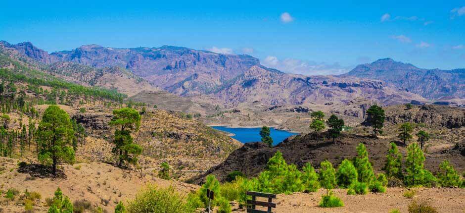 Presa de Las Niñas Espacios naturales de Gran Canaria