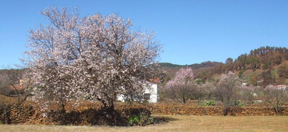 El Pinar charmante dorpjes van El Hierro