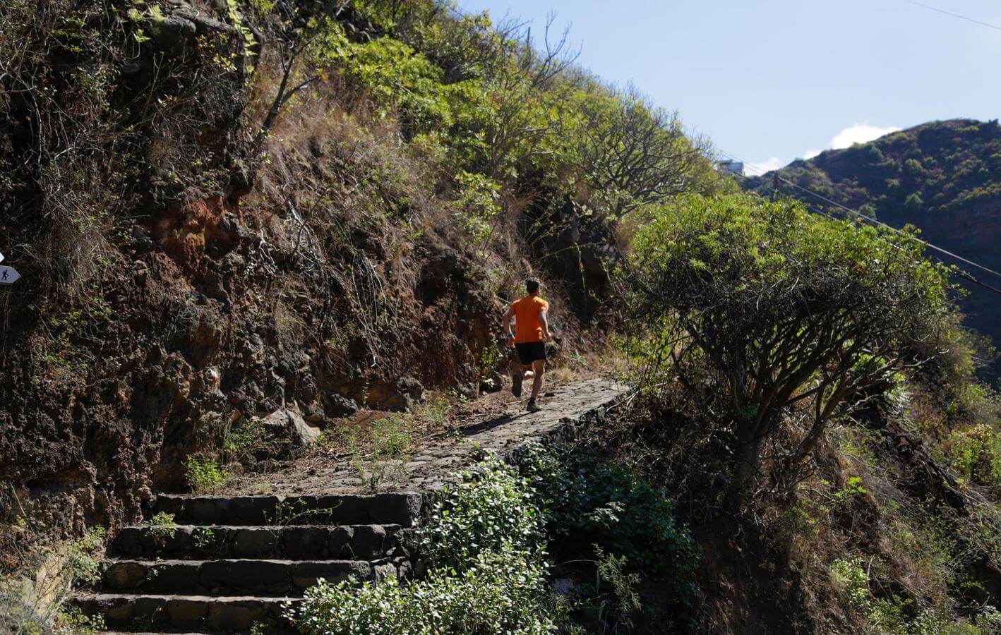 Roque Faro - Villa de Garafía-Trail