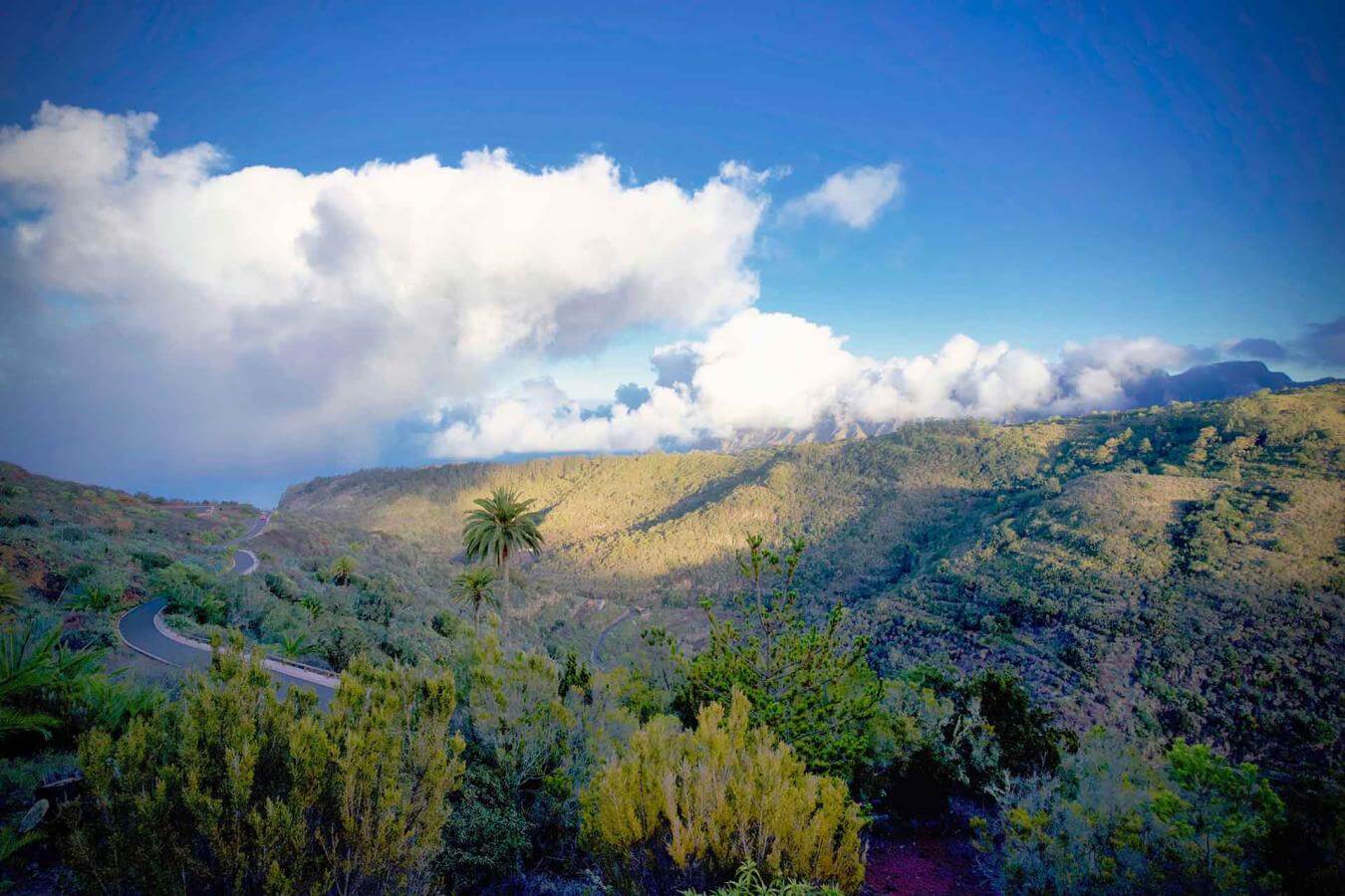 Agulo